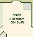 The Aster Suite