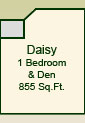 The Daisy Suite