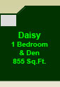 The Daisy Suite