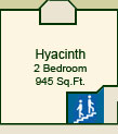 The Hyacinth Suite