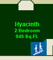 The Hyacinth Suite