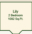 The Lily Suite