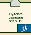 The Hyacinth Suite